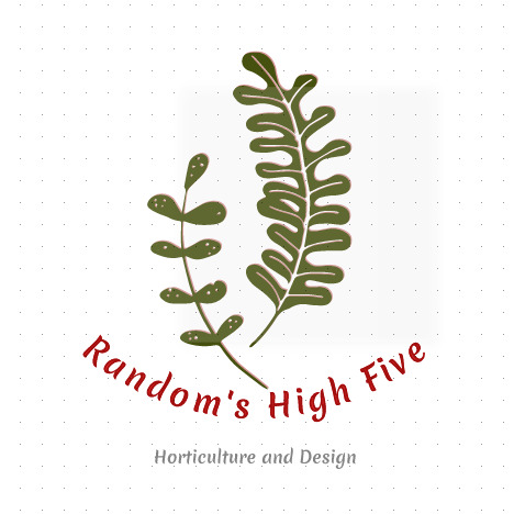 Random's High Five Horticulture Design......owner Robin