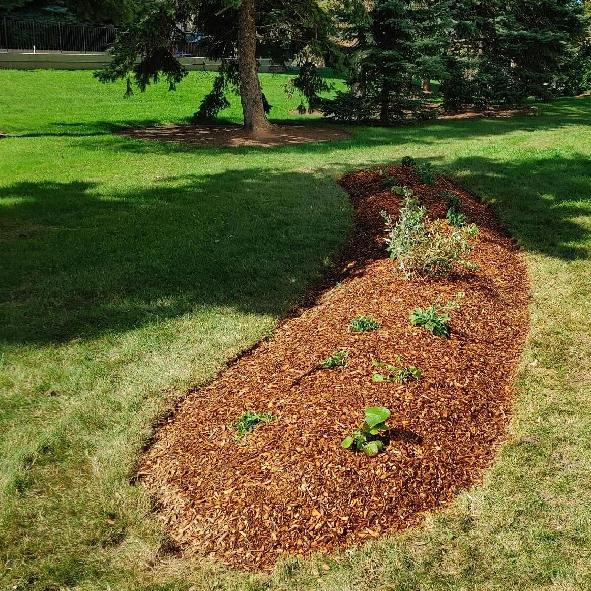 Expert Landscaping Services in Cambridge, Ontario - Affordable Rates at $30 per Hour!