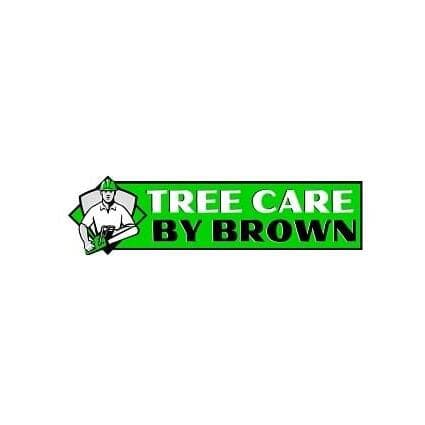 Tree Service in Mesa AZ