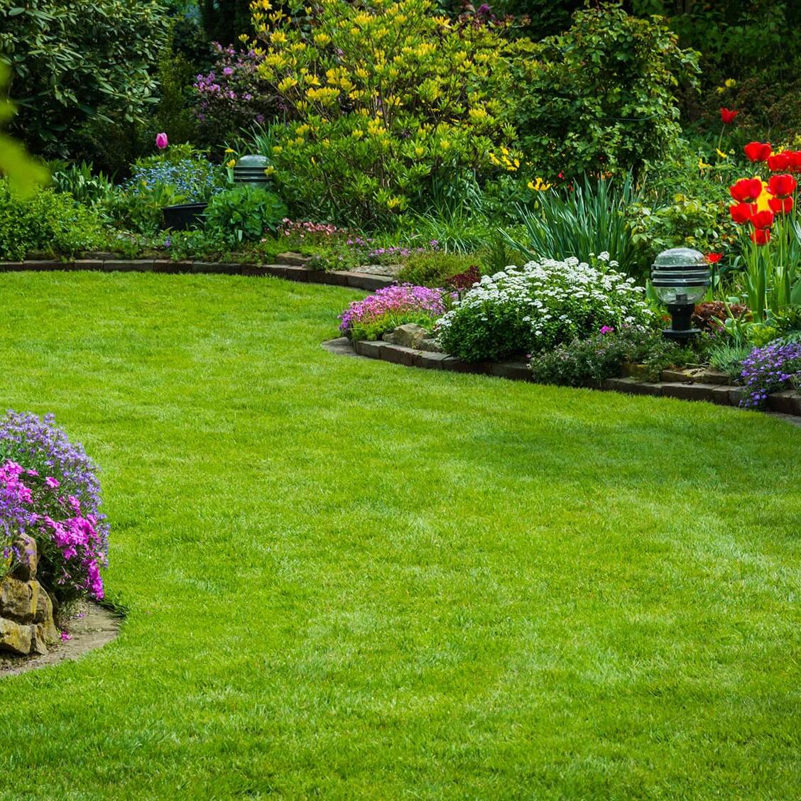 Hello my husband omar and me yenis We work independently to support our family and we offer landscaping services