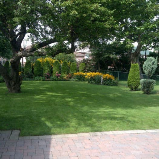 Oliveira Landscaping & Property Maintenance