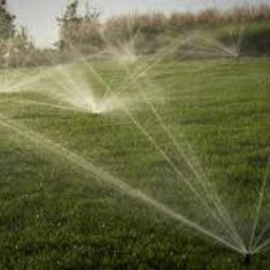 Landscape specialist