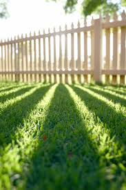 Professional lawn care at half the price