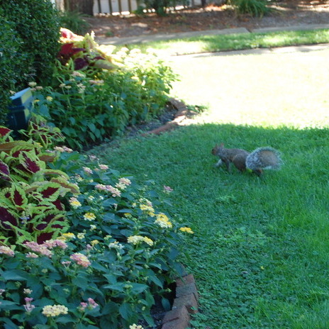 Mohn's Landscape Services