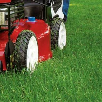 No MOW worries for your lawn. Full Service Lawn Care in the northern Cincinnati area.