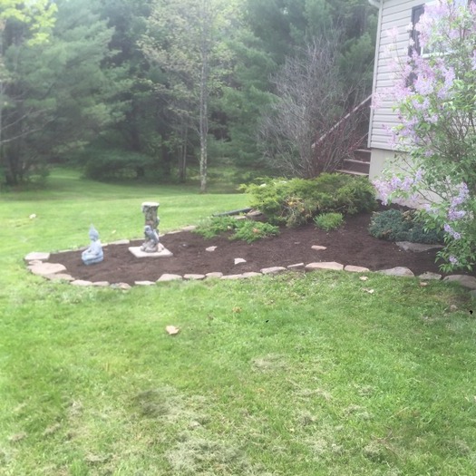 Wilson landscaping and lawn carw