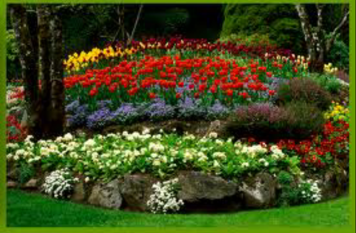 Charlies Landscaping