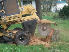 Jc Tree Service & Landscaping