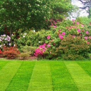 Lawn care I get the job done professionally.