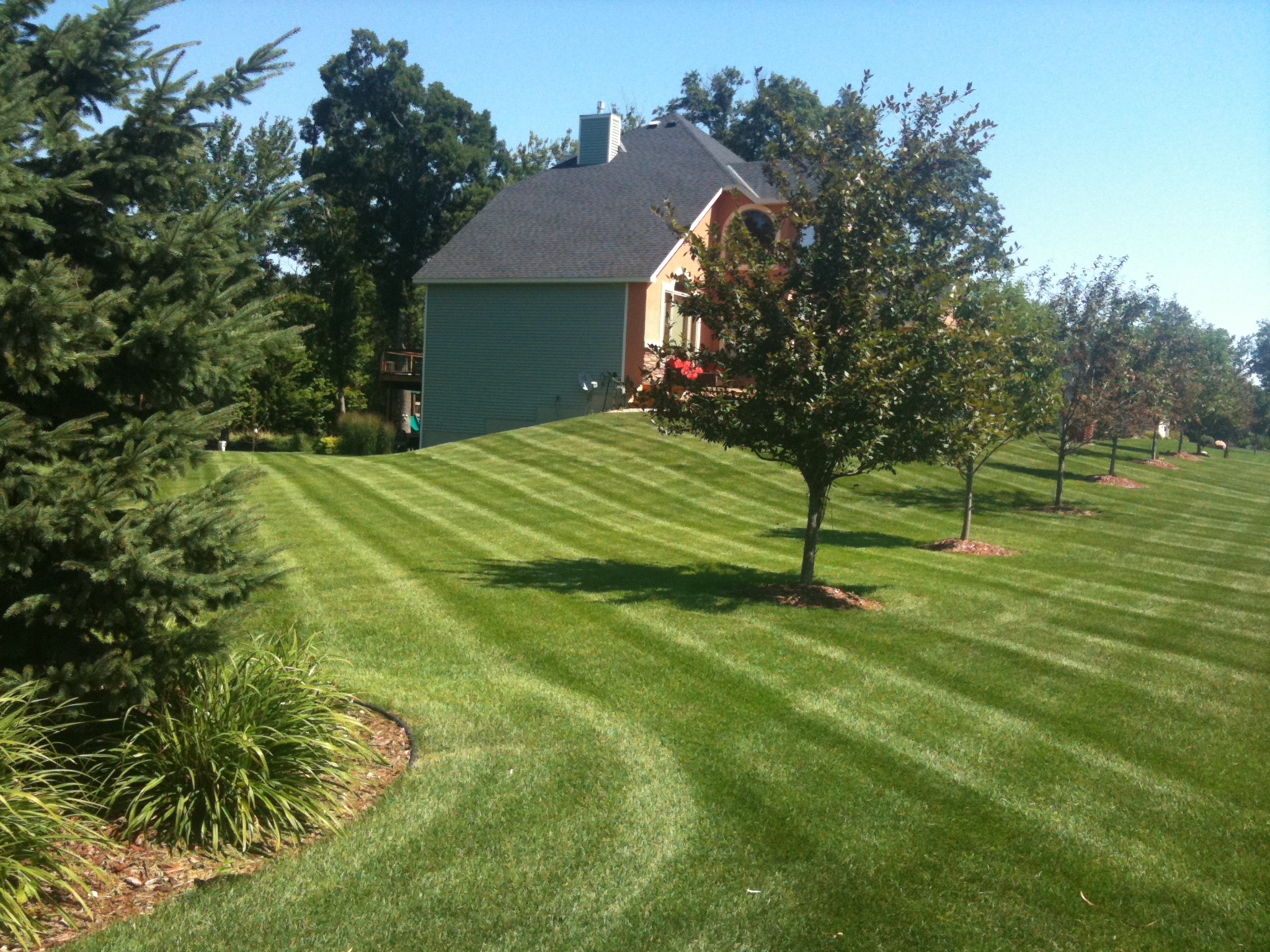 Basic Lawn Mowing Service