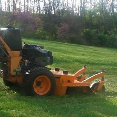 Mowing weekly or Bi-weekly