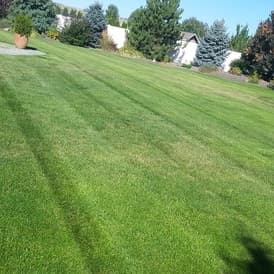 Desert Oasis Lawn Care And Landscaping