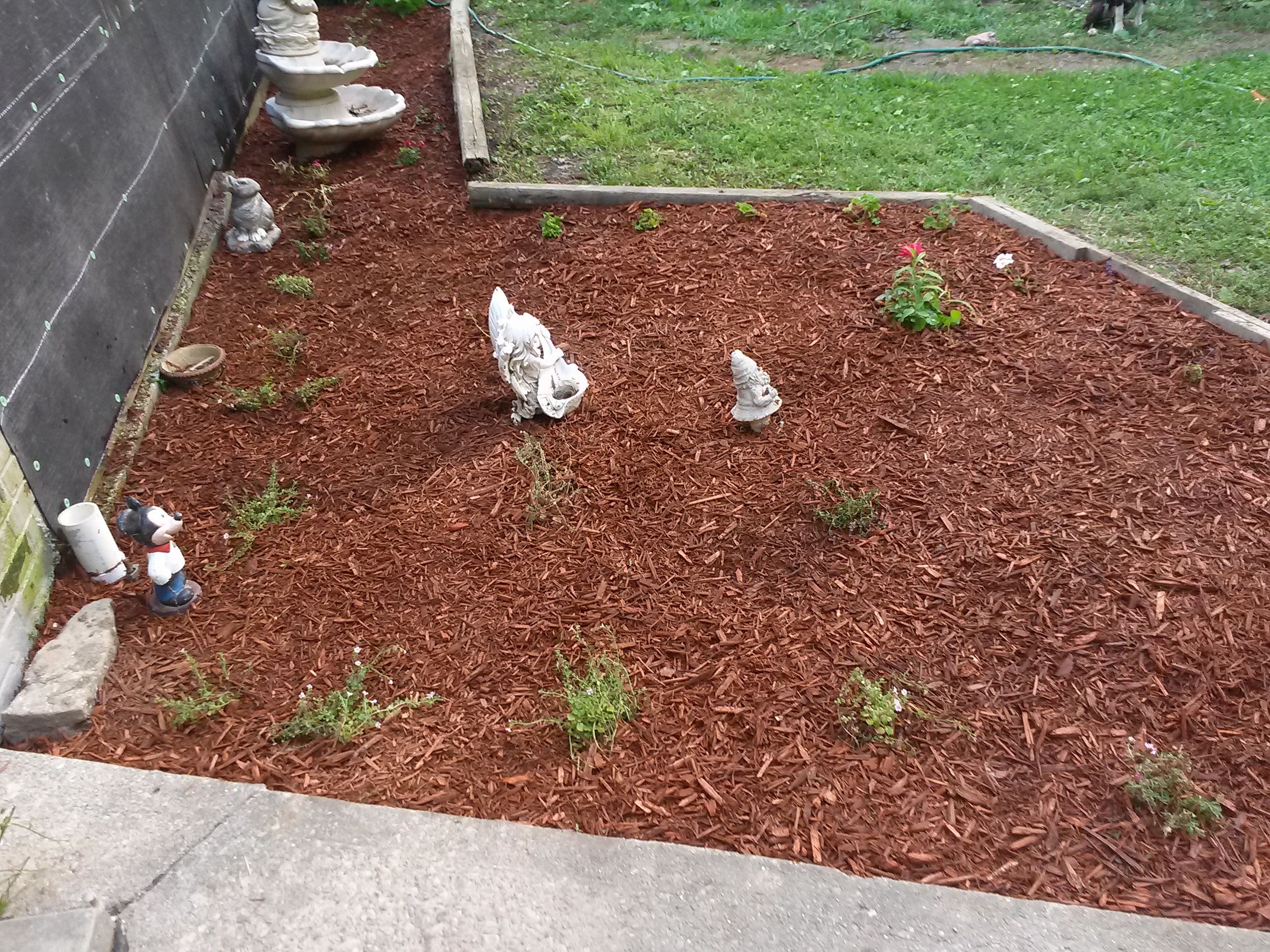 Affordable Landscaping