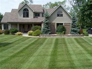 Five Star Landscaping