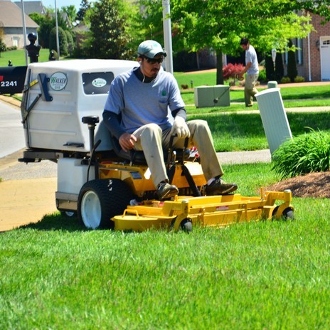 Lawn Mowing Made Easy