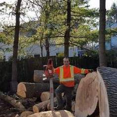 Trees and Roofing repairs, pruning, removal, various