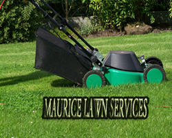 Great Lawn Services at an affordable price!