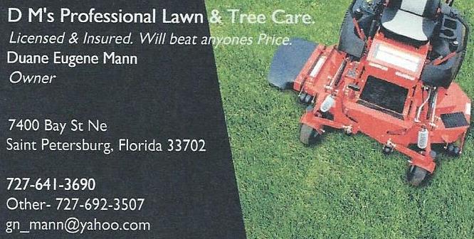 D M's Professional Lawn and Tree Care