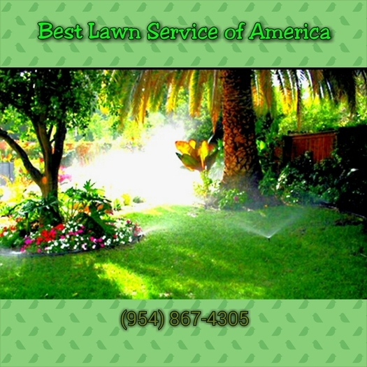 Best Lawn Service of America