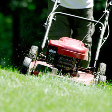 Brothers and Lawn Care