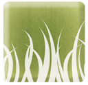 Absolute Lawn and Landscape
