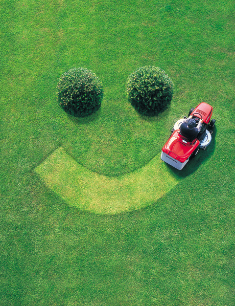 Spring clean up, lawn mowing, weeding and trimming($11/hr-13/hr)