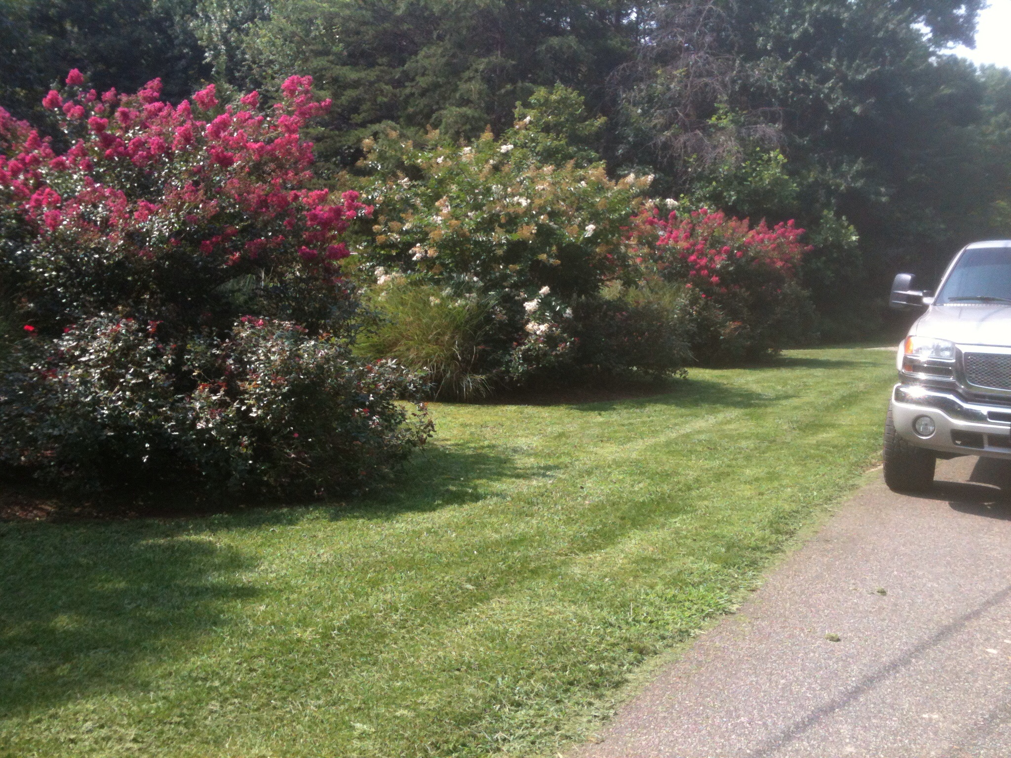 Precision Lawn Care