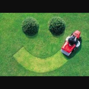 Joe's lawn care service