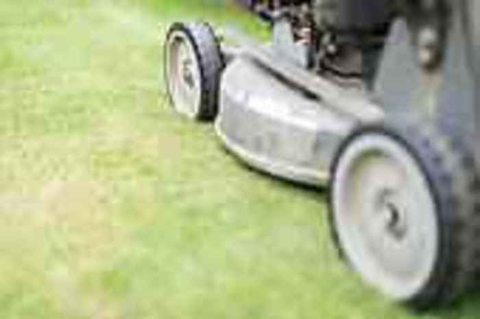 Spring Is Here! Need Your Lawn Manicure For The Season?