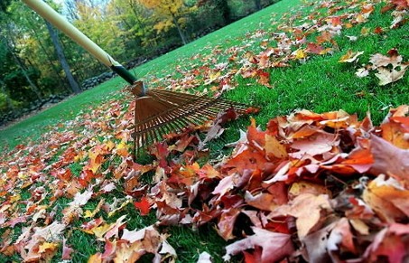 Family-owned lawn service by Mario - Woodbridge, Edison, Westfield, Scotch Plains, etc.