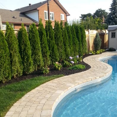 LAWN GREEN LANDSCAPING Providing Exceptional Lawn Care & Maintenance
