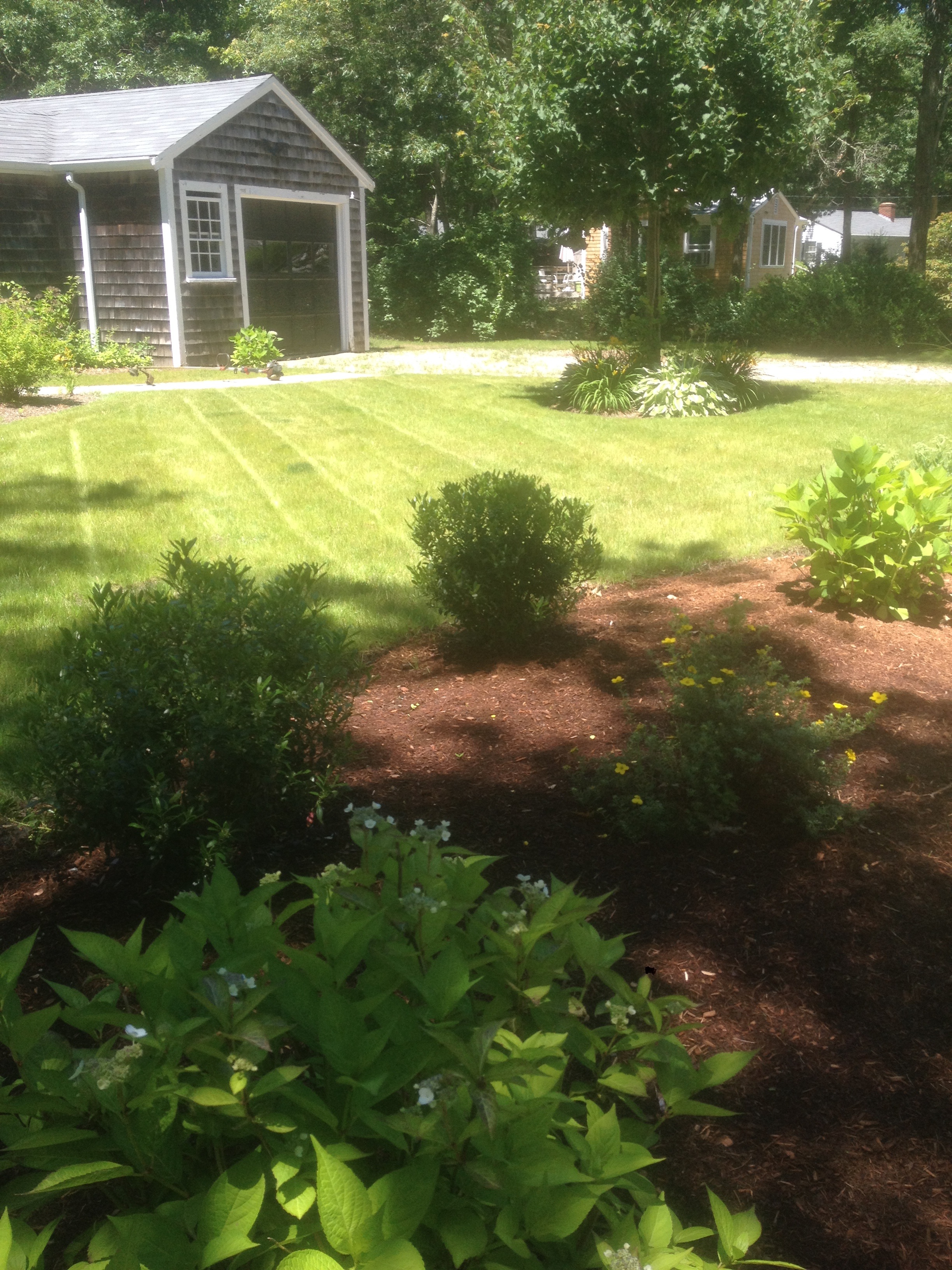 R&N landscaping