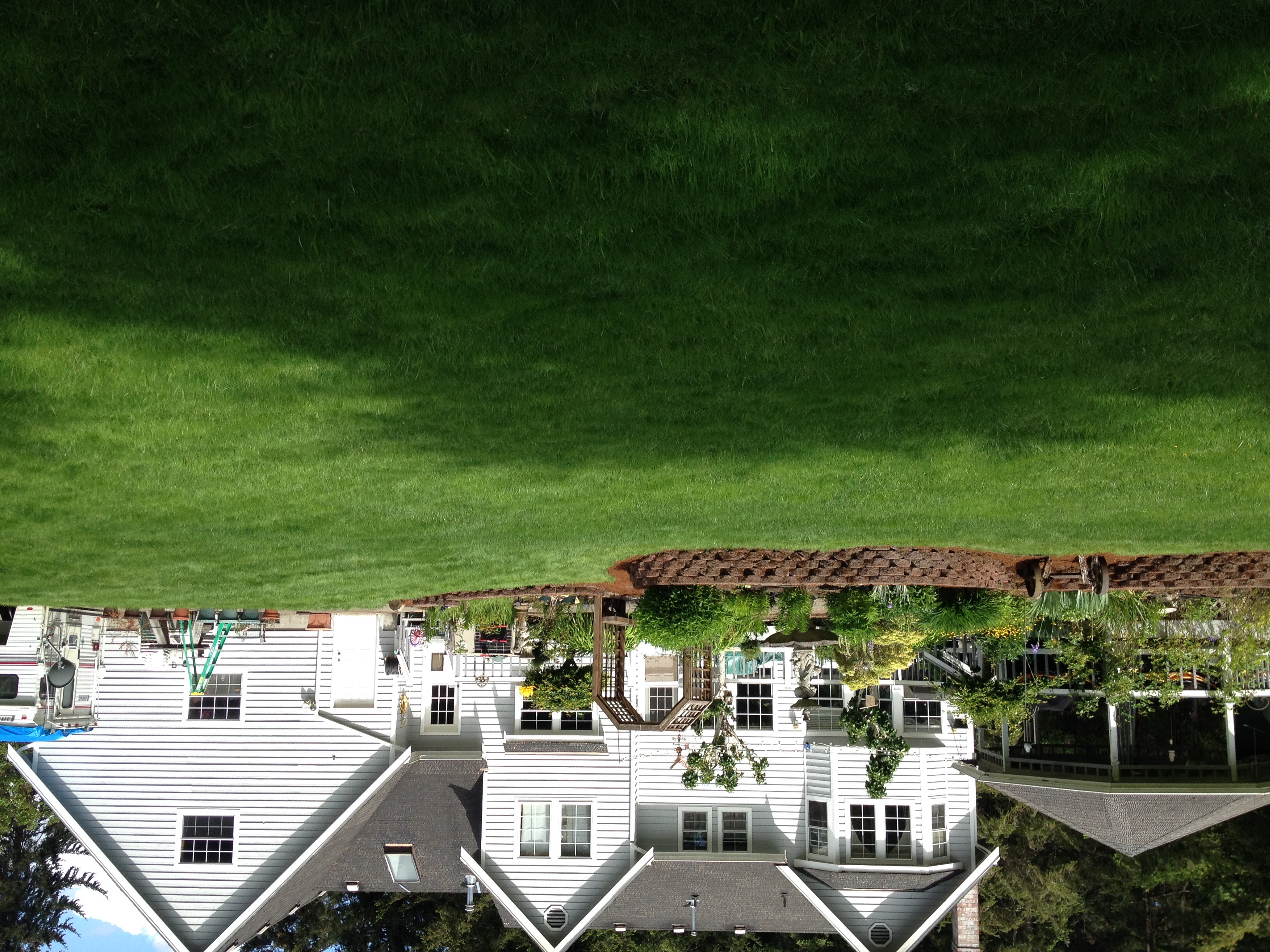 Cheapest landscaping around and a+ work done