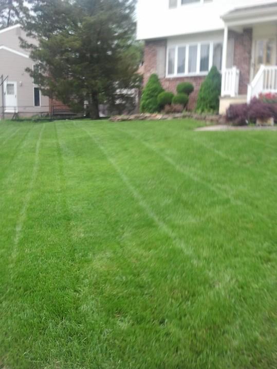 Lawn Mowing and Landscaping ....Swedesboro /Woolwich area