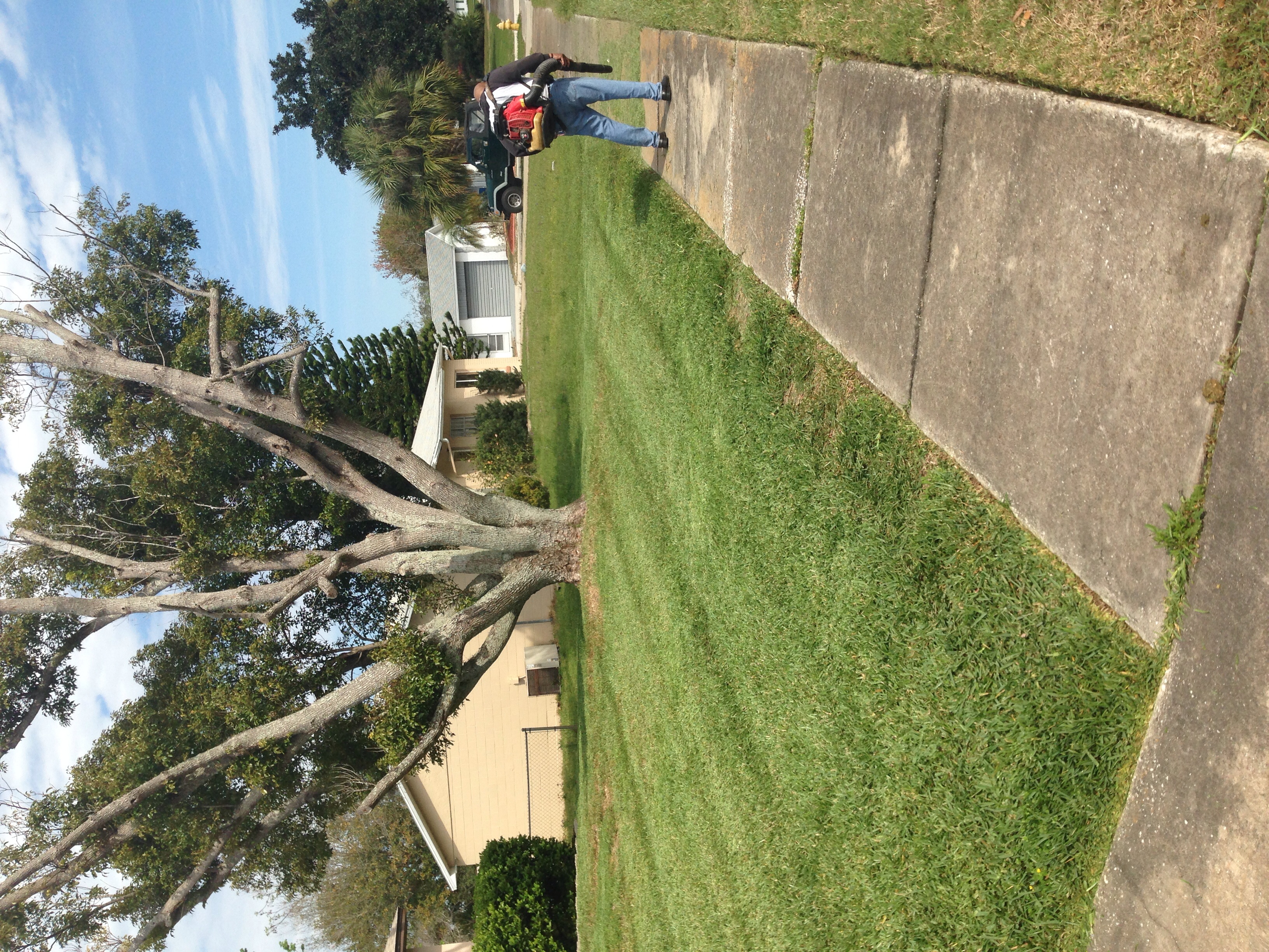 Landscaping