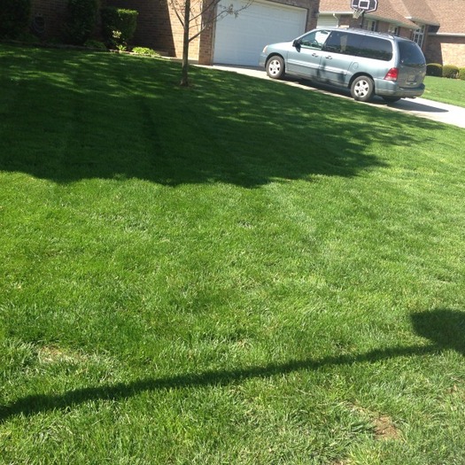 Experienced landscape and lawn care without the overwhelming price tag