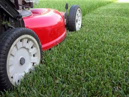 Michaels Gardening and Landscaping
