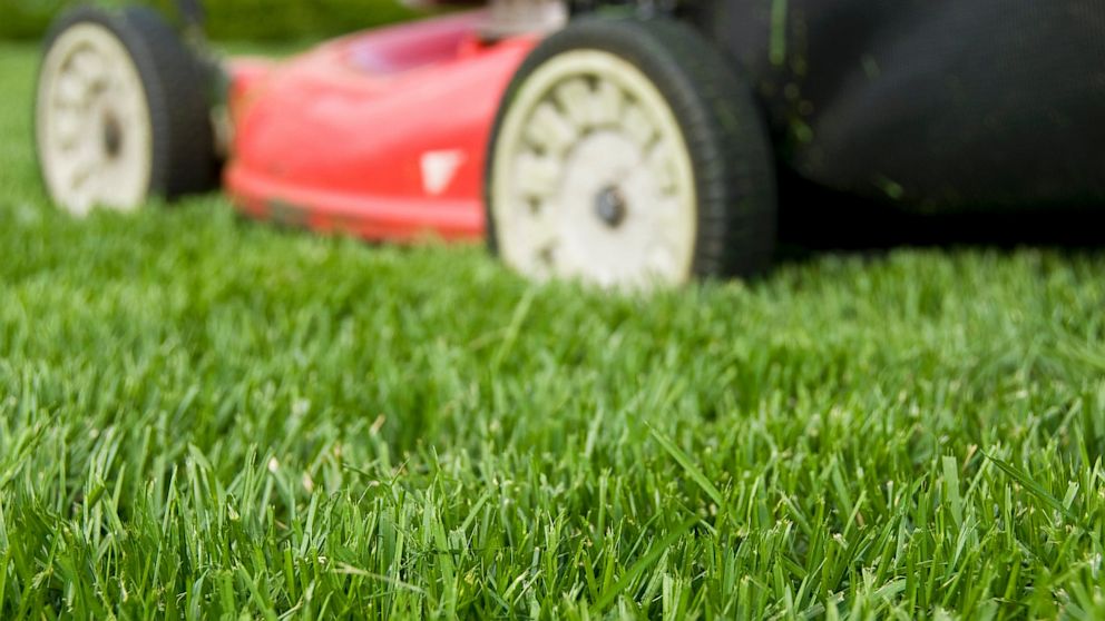Local Lawn & Maintenance