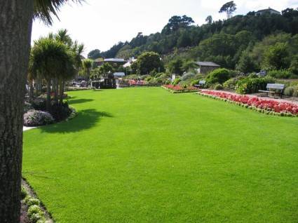 Milane Landscape Inc.