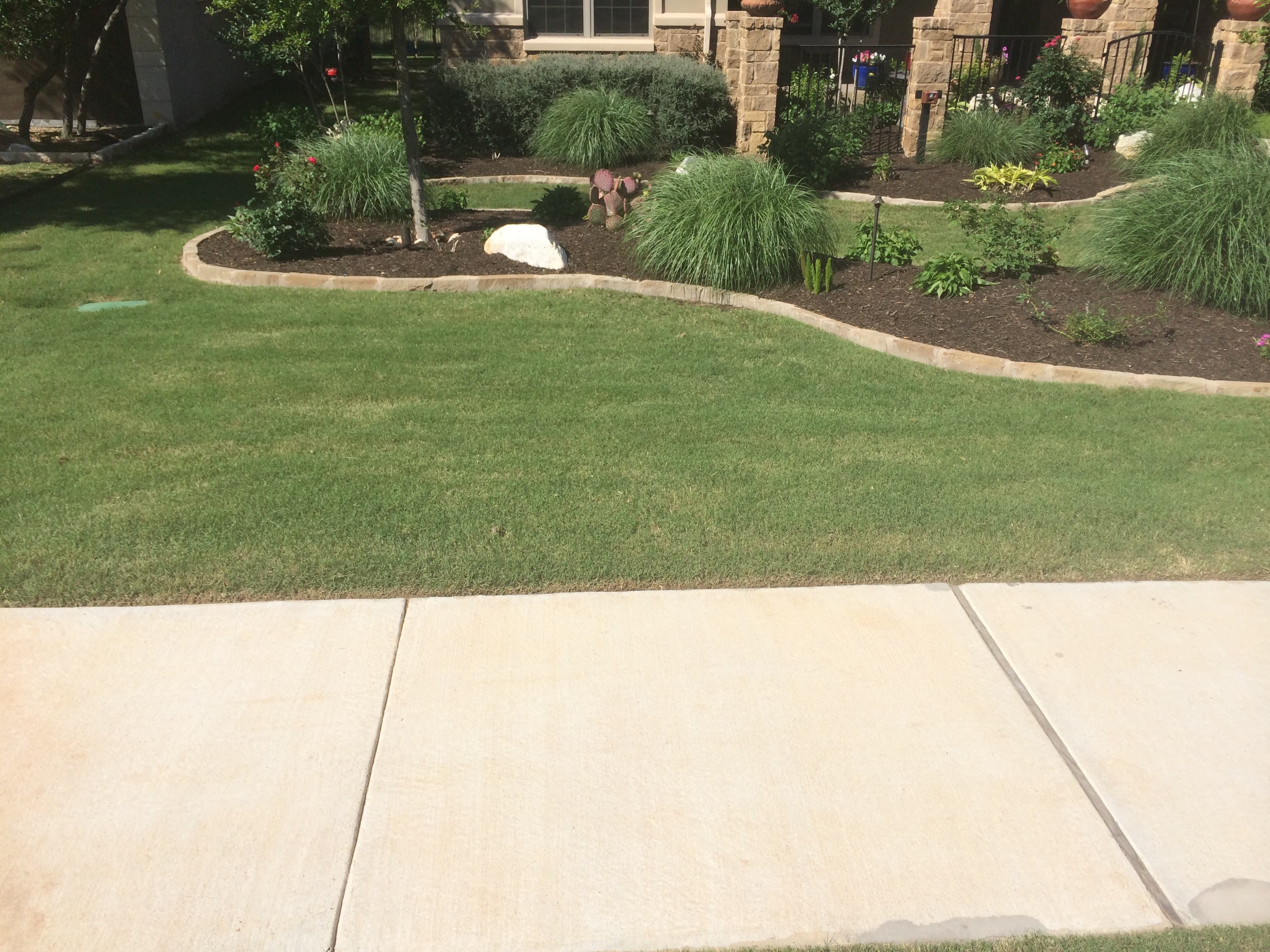Best lawn care service in town because we care