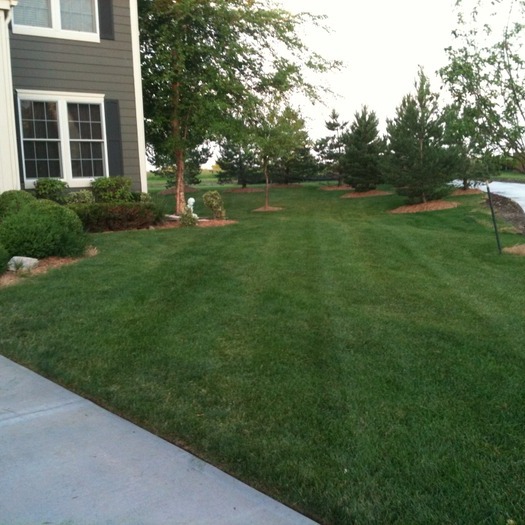 Layton's Landscaping