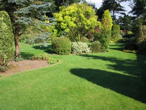 M&J Lawncare services