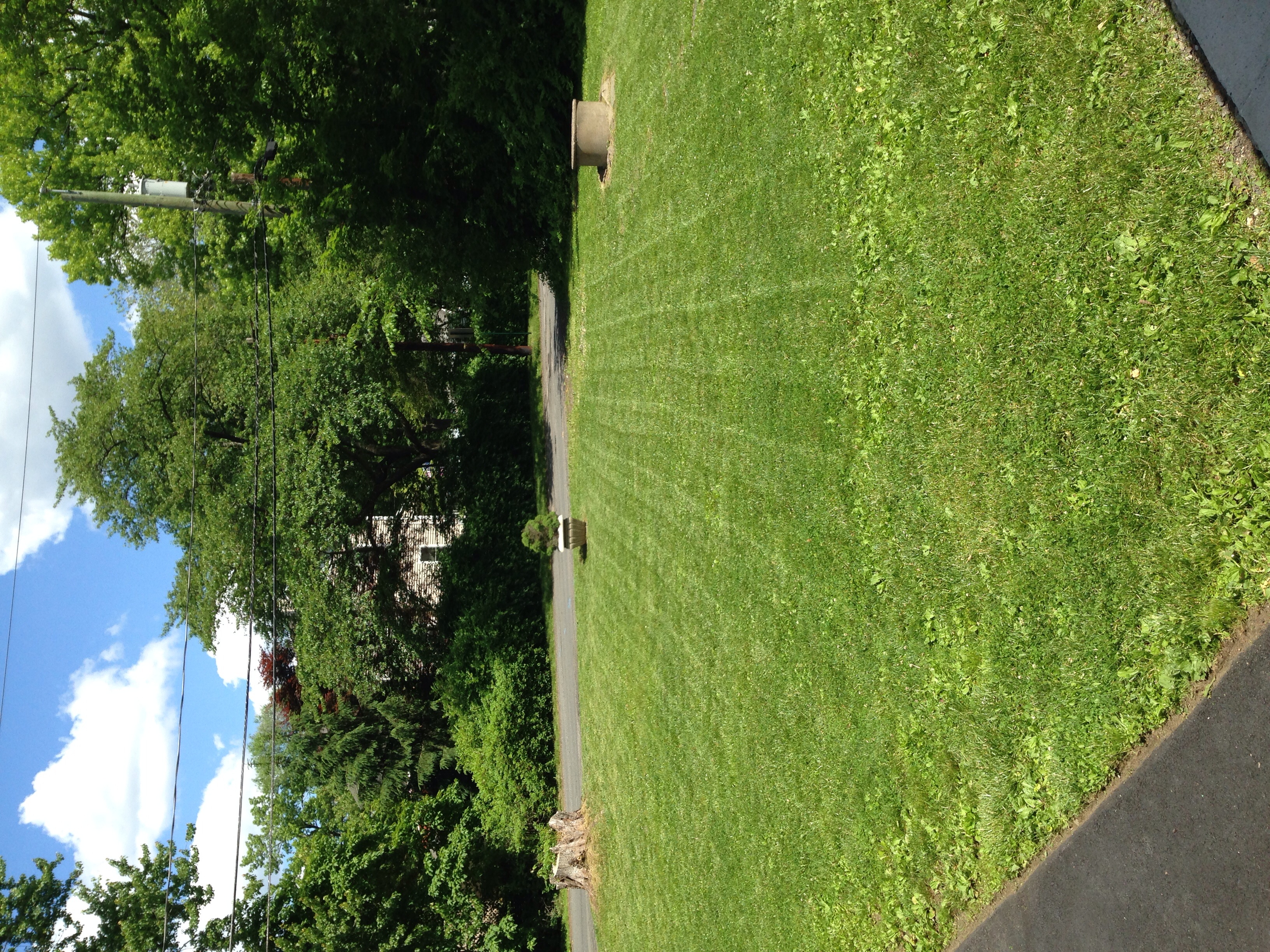 Landscaping services