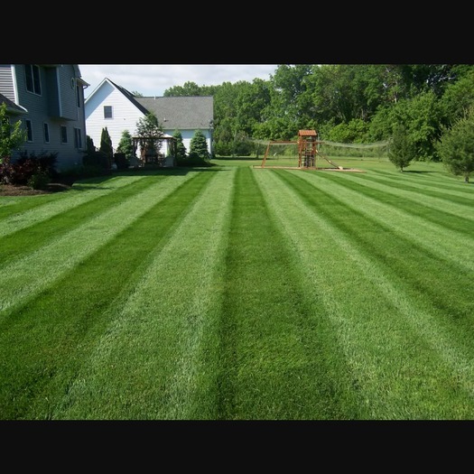 Lawn and Landscaping