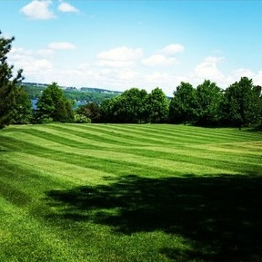 Cut Above Lawn Care