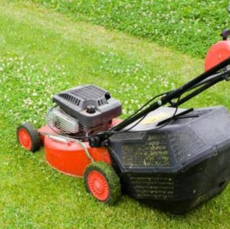 Professional/ Reliable Lawn Maintenance