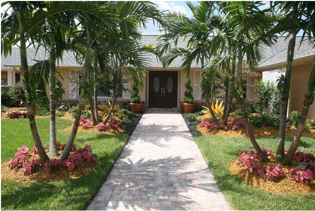 For the love of foliage. You supply the vision for your space, and we'll do the rest.