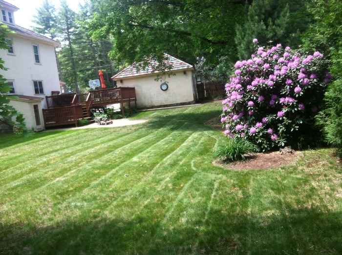 Patriot Landscaping / Weekly Maintenance