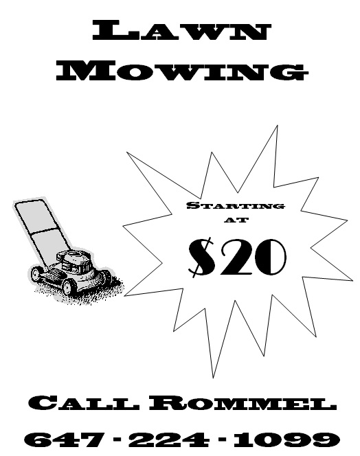 Lawn Mowing and Maintenance