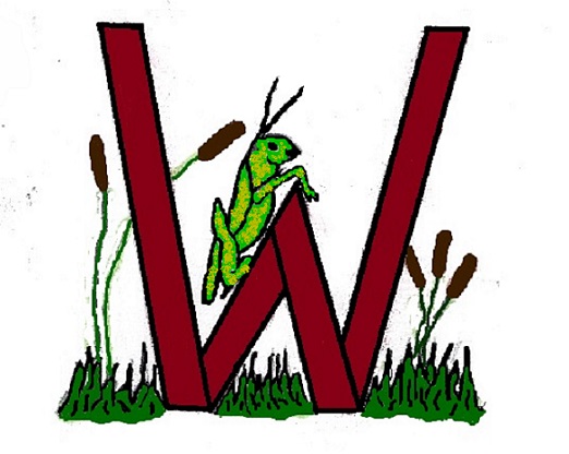 Williams Home & Lawn Services